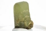 Green Olivine Peridot Crystal - Pakistan #213522-1